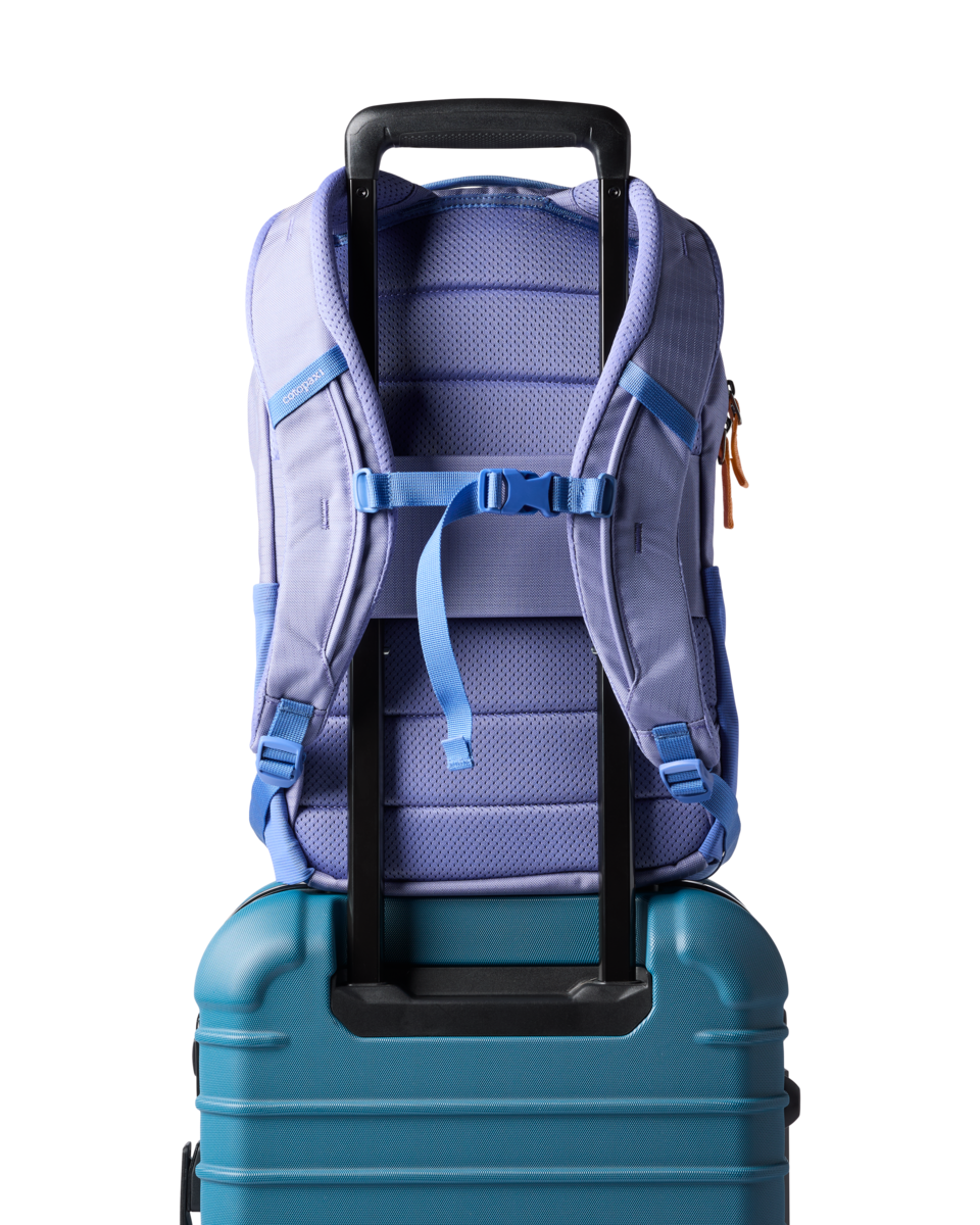 Allpa 18L Daypack, Aster